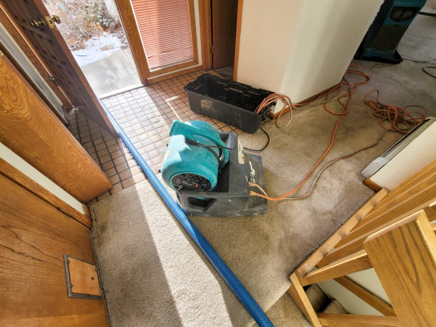 Best Water damage restoration specialists  in Hanover, MN