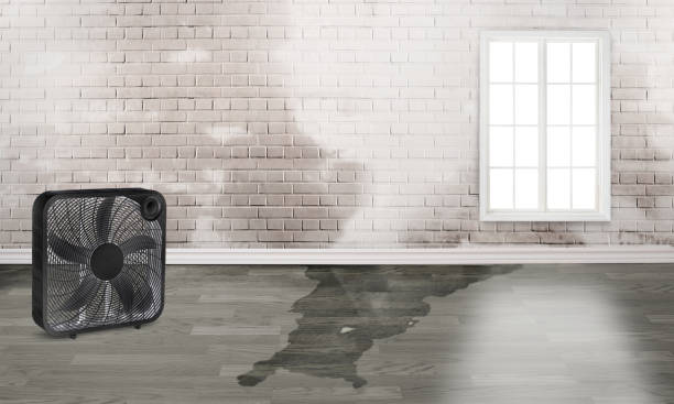 Best Sewage cleanup and water damage restoration  in Hanover, MN