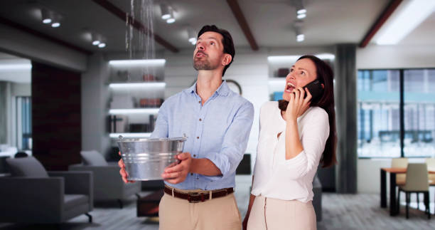 Best Water damage restoration process  in Hanover, MN
